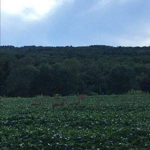 Meet your Posher, Ben